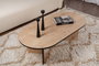 Nordure Mesa de Centro Roble Zafiro y Negro, Tablero de 18mm de Partículas Melaminadas, Elegante y Funcional
